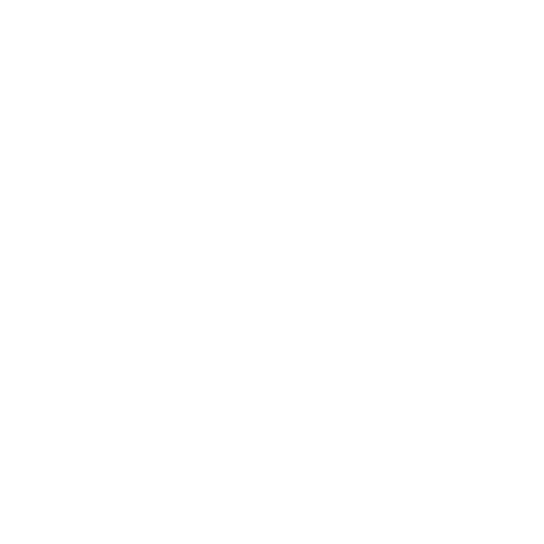 Nexs Collective Logo